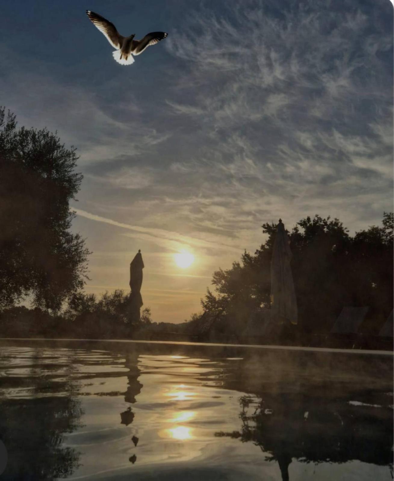 Fattoria Pianetti ξενώνας Manciano Εξωτερικό φωτογραφία